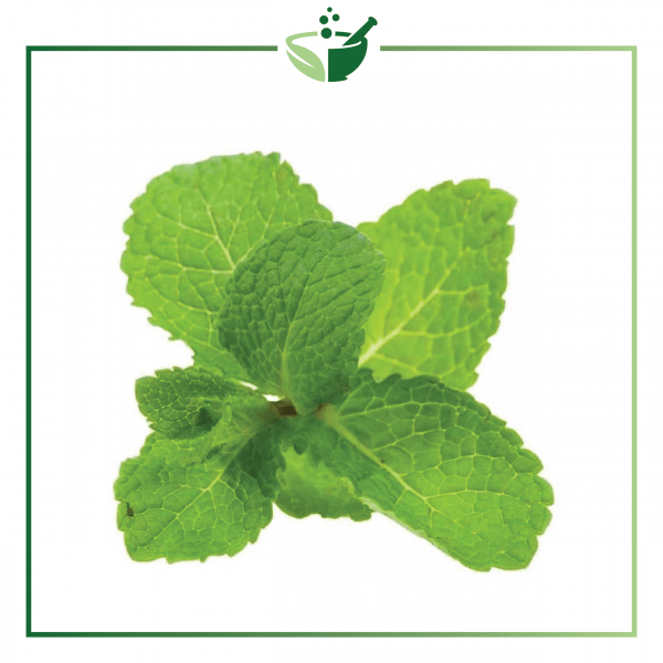 Spearmint Essential Oil-01
